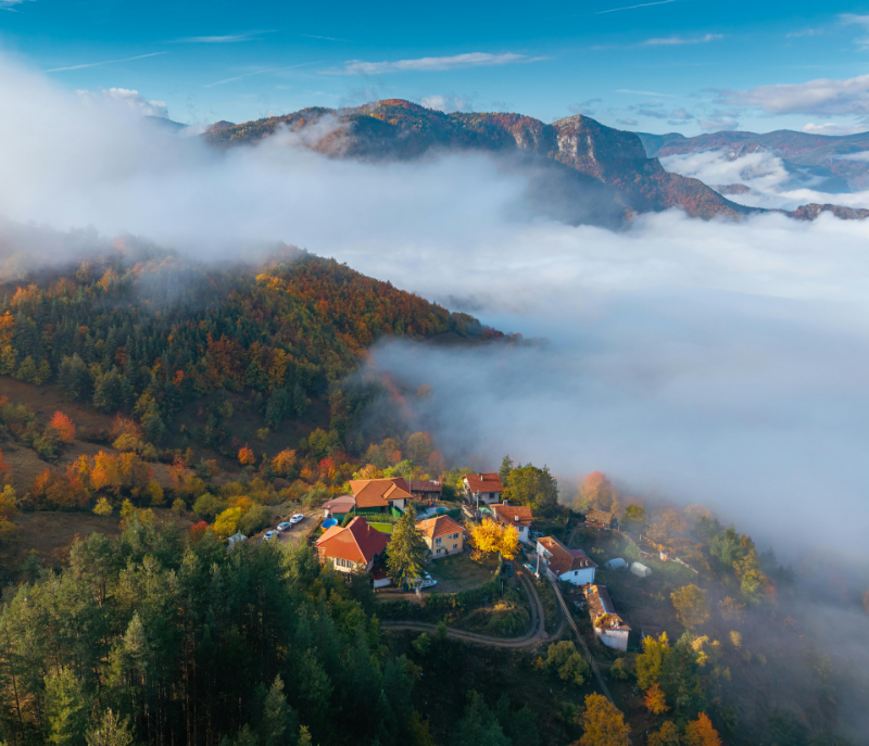 Всички клиники